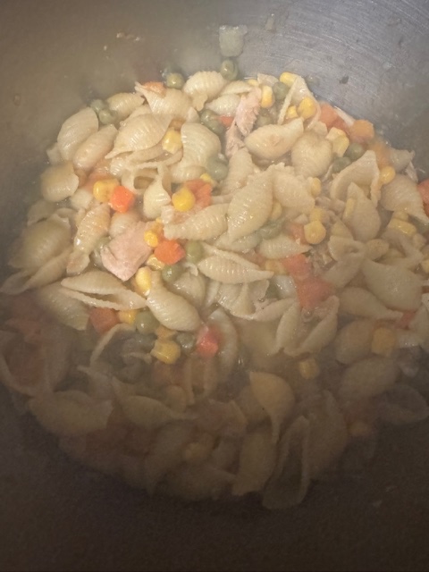 Final Product Turkey Noodle